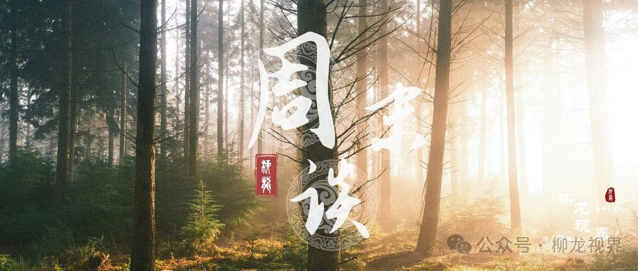 周末谈3月第2期