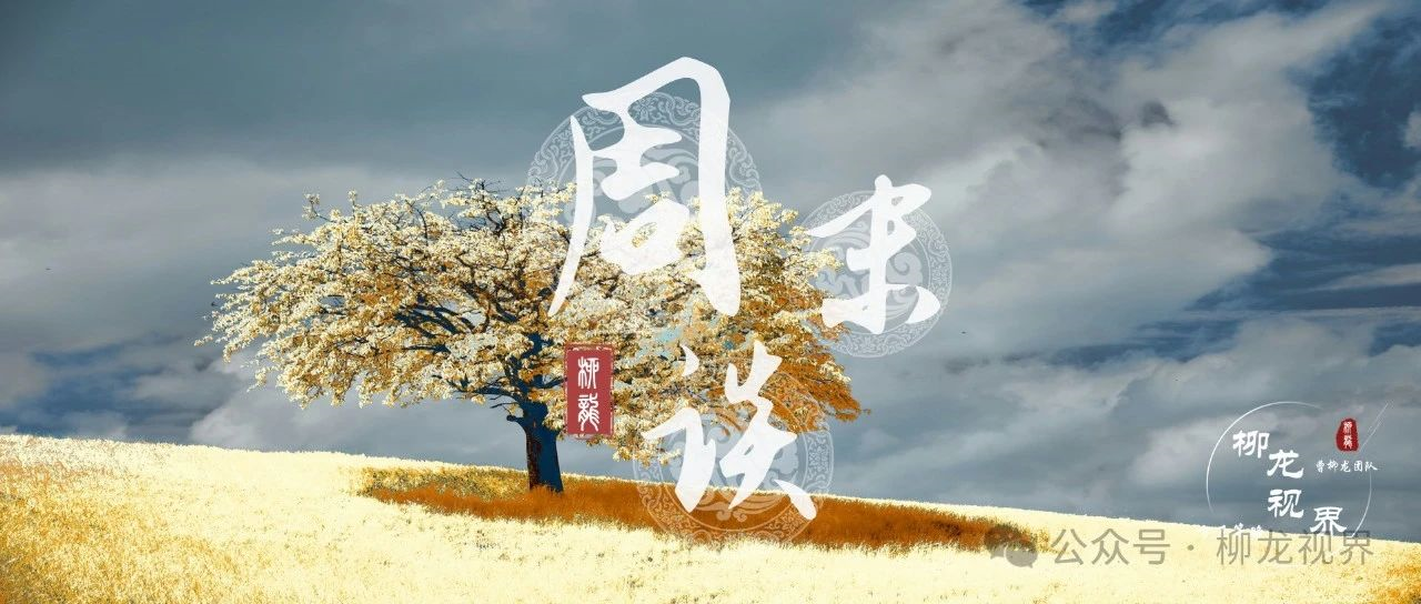 周末谈3月第1期